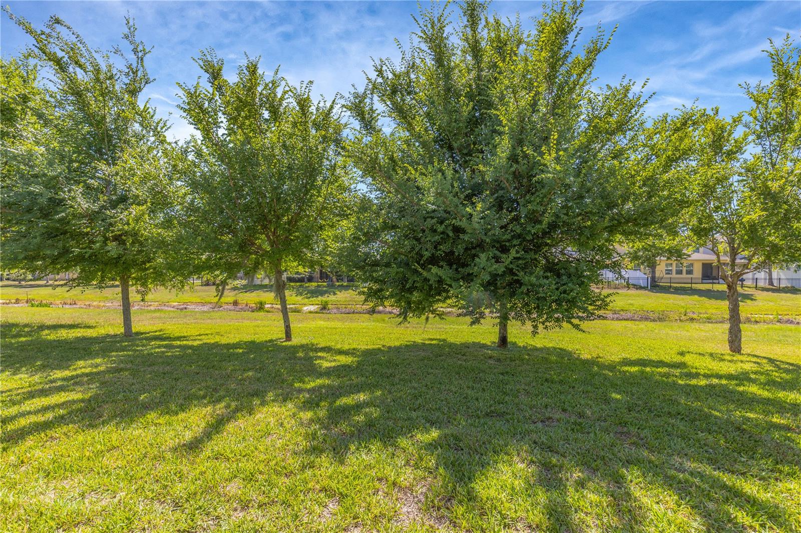 11607 WARREN OAKS PL, RIVERVIEW, FL, 33578
