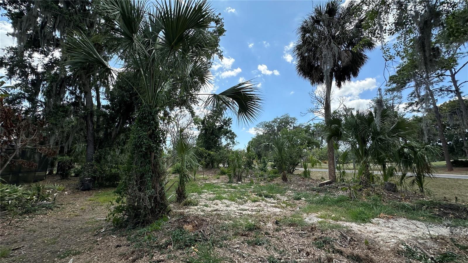 2898 HAMMOCK DR, PLANT CITY, FL, 33566