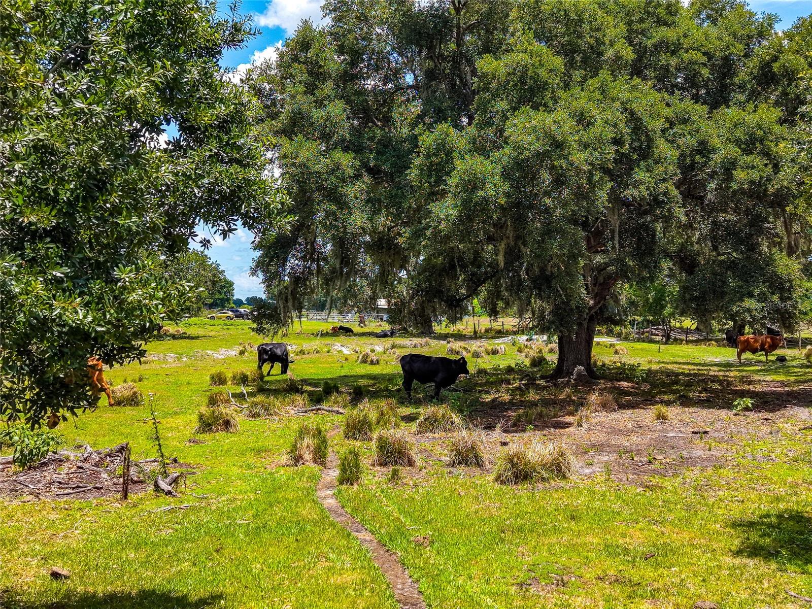 3030 N NURSERY RD, ZOLFO SPRINGS, FL, 33890