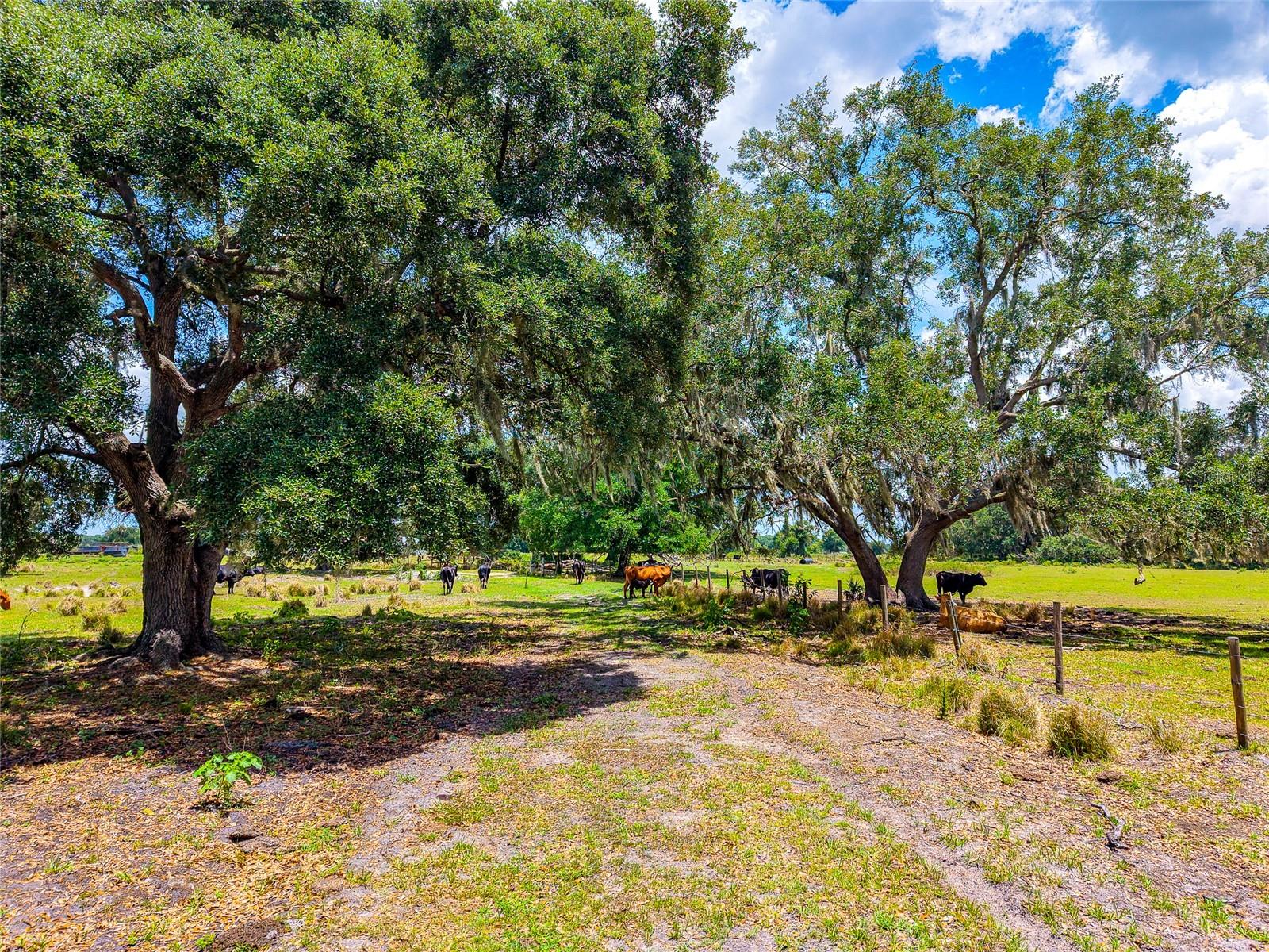 3030 N NURSERY RD, ZOLFO SPRINGS, FL, 33890