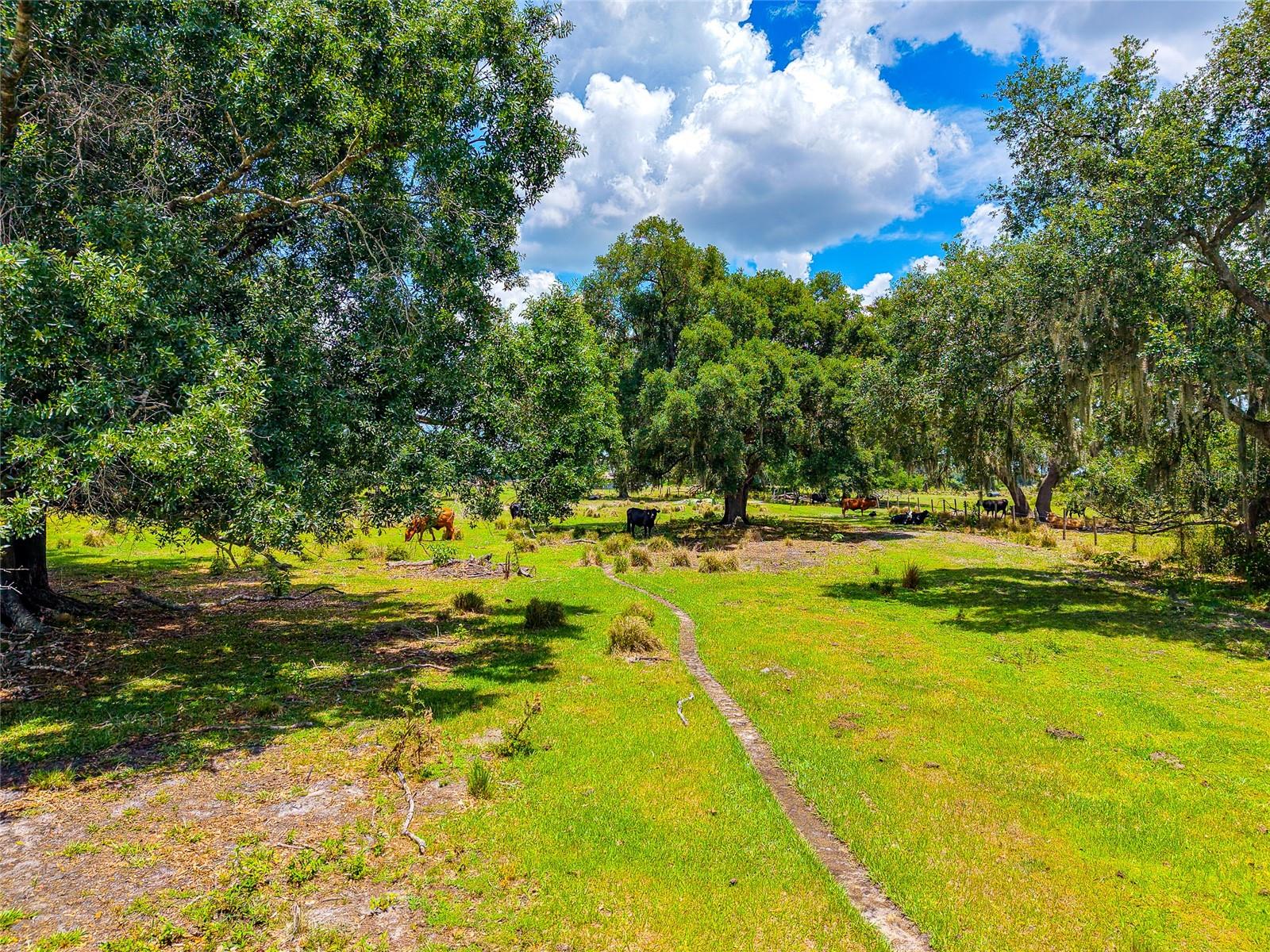 3030 N NURSERY RD, ZOLFO SPRINGS, FL, 33890