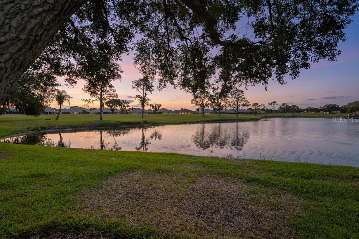 951 VILLEROY GREENS DR, SUN CITY CENTER, FL, 33573