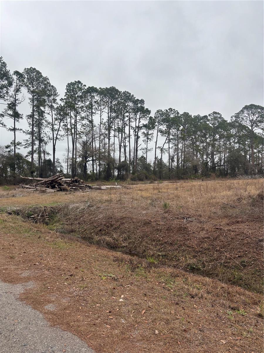 9600 LIGHT AVE, HASTINGS, FL, 32145