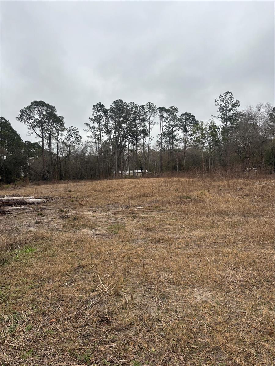 9600 LIGHT AVE, HASTINGS, FL, 32145