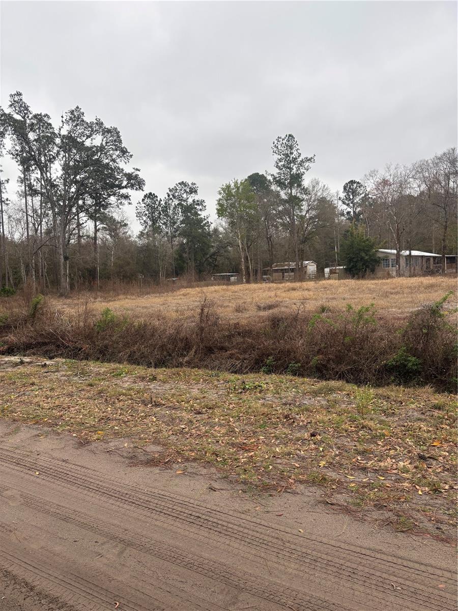 9600 LIGHT AVE, HASTINGS, FL, 32145