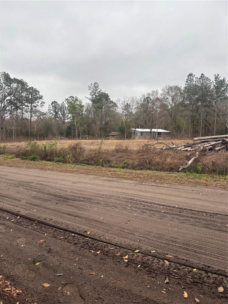 9600 LIGHT AVE, HASTINGS, FL, 32145