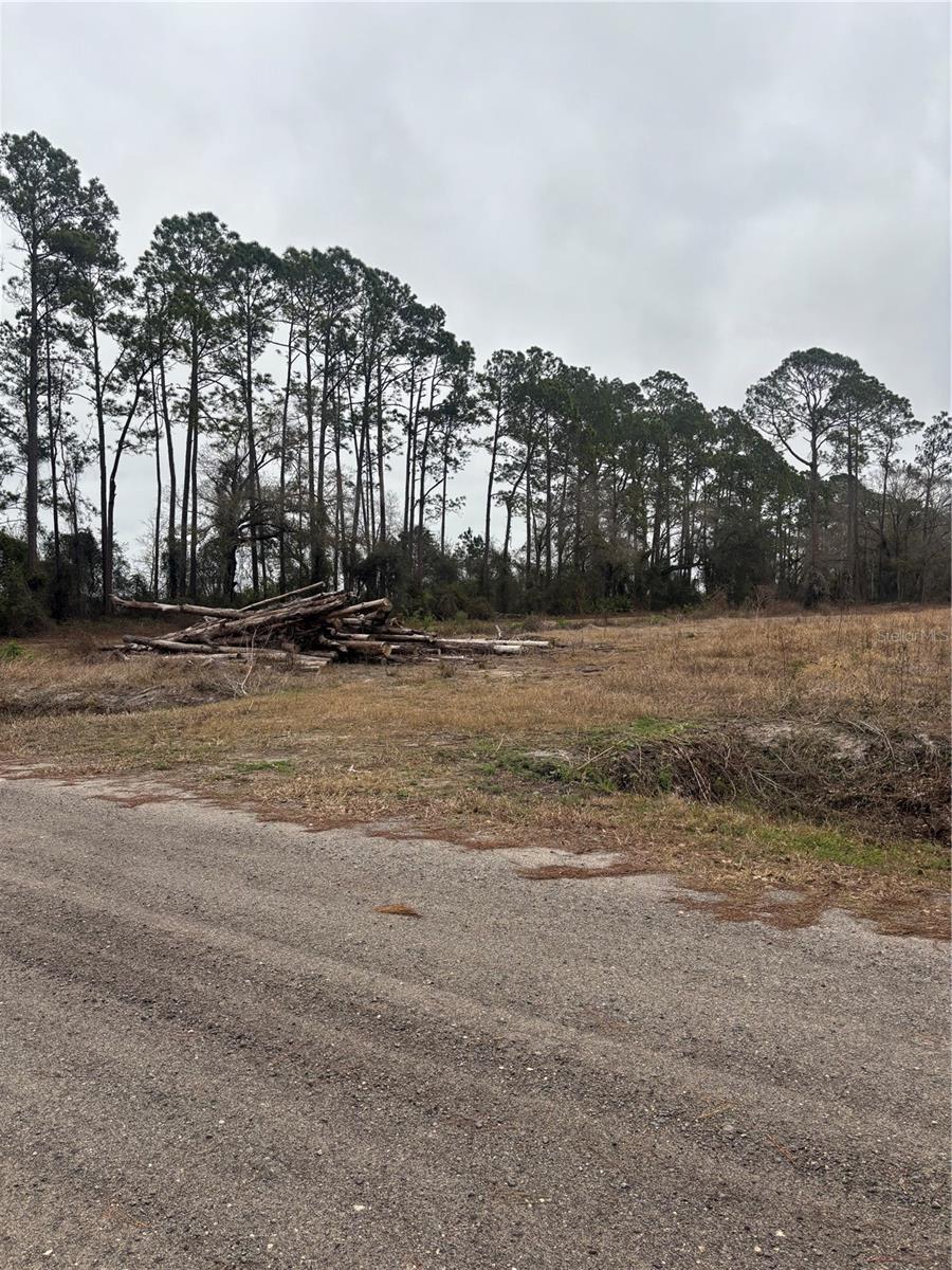 9600 LIGHT AVE, HASTINGS, FL, 32145
