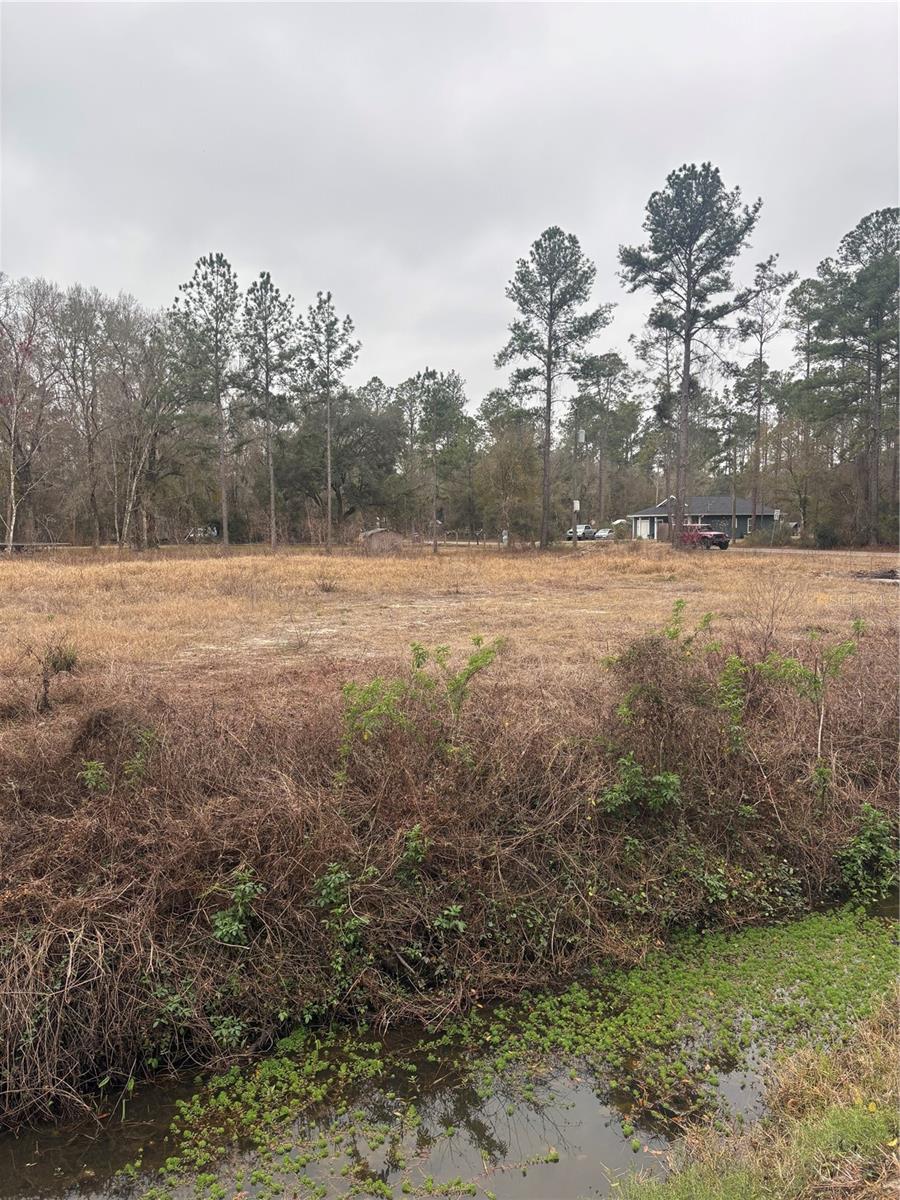 9600 LIGHT AVE, HASTINGS, FL, 32145