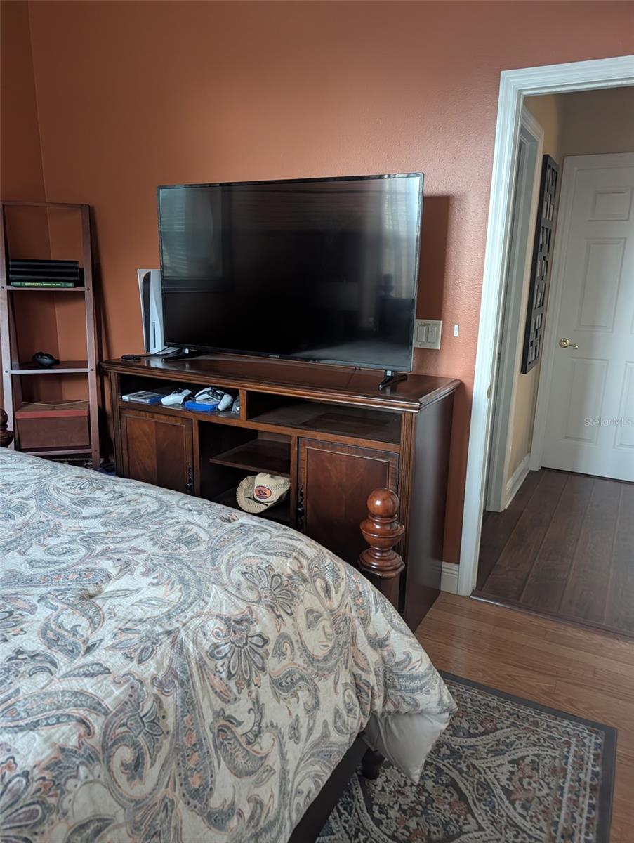 6028 ROLLING VISTA LOOP, DOVER, FL, 33527