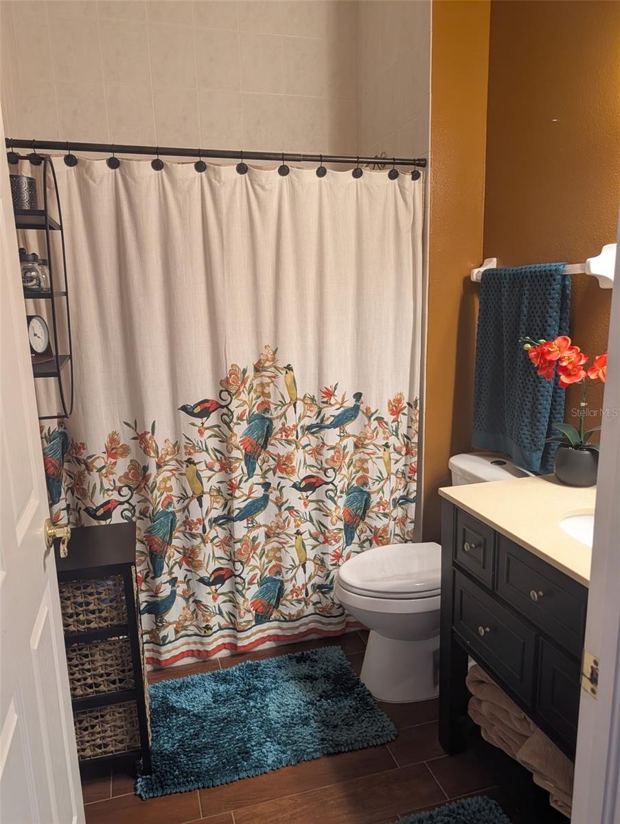 6028 ROLLING VISTA LOOP, DOVER, FL, 33527