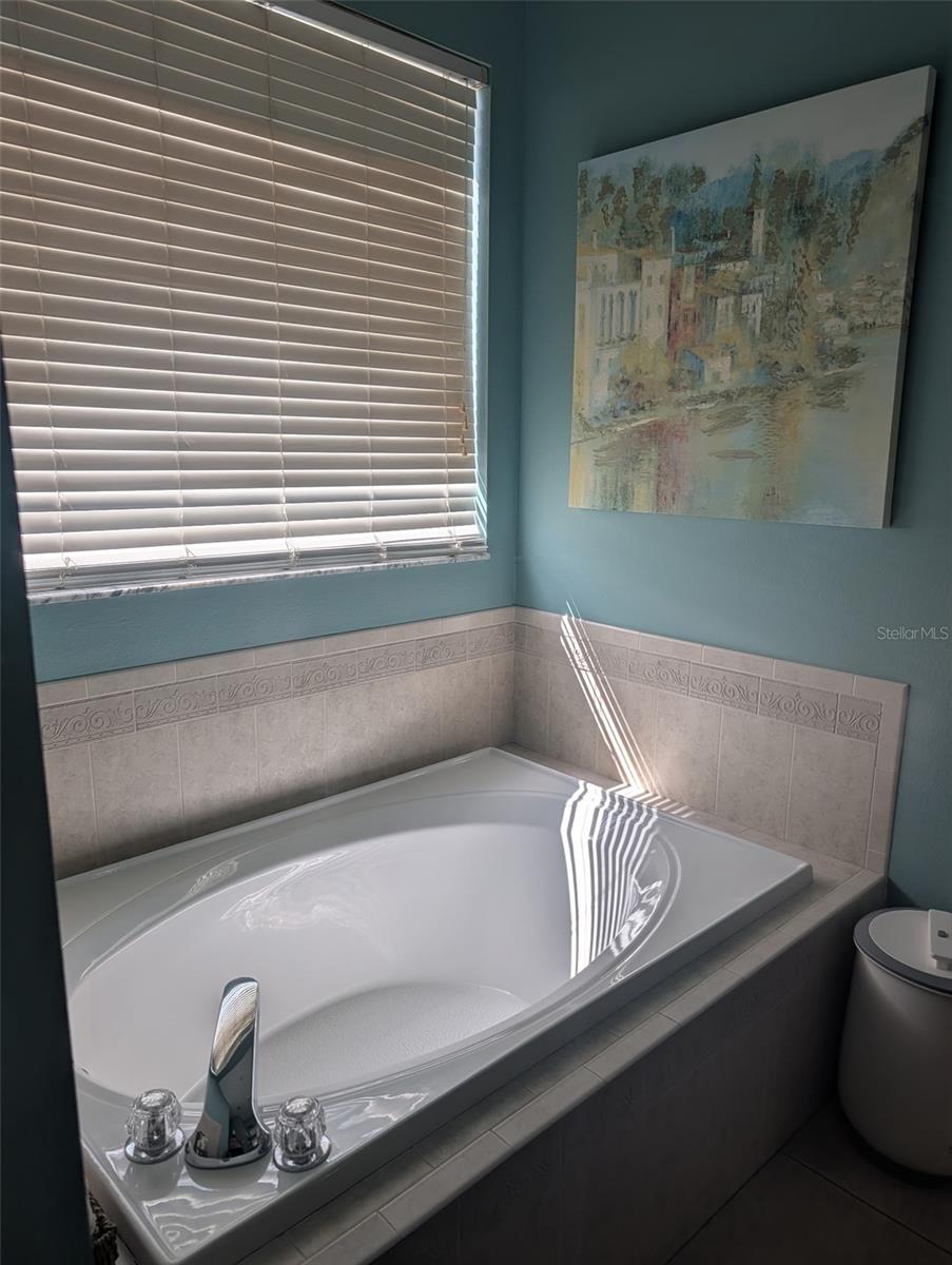 6028 ROLLING VISTA LOOP, DOVER, FL, 33527