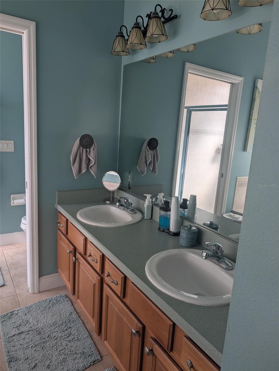 6028 ROLLING VISTA LOOP, DOVER, FL, 33527