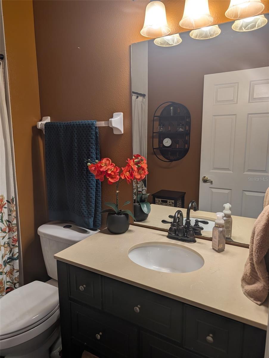 6028 ROLLING VISTA LOOP, DOVER, FL, 33527
