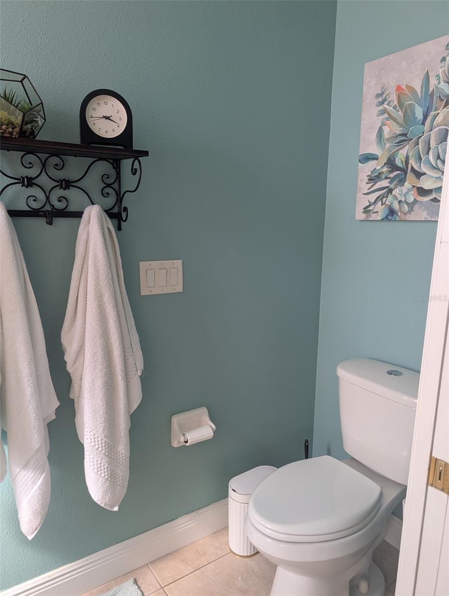 6028 ROLLING VISTA LOOP, DOVER, FL, 33527