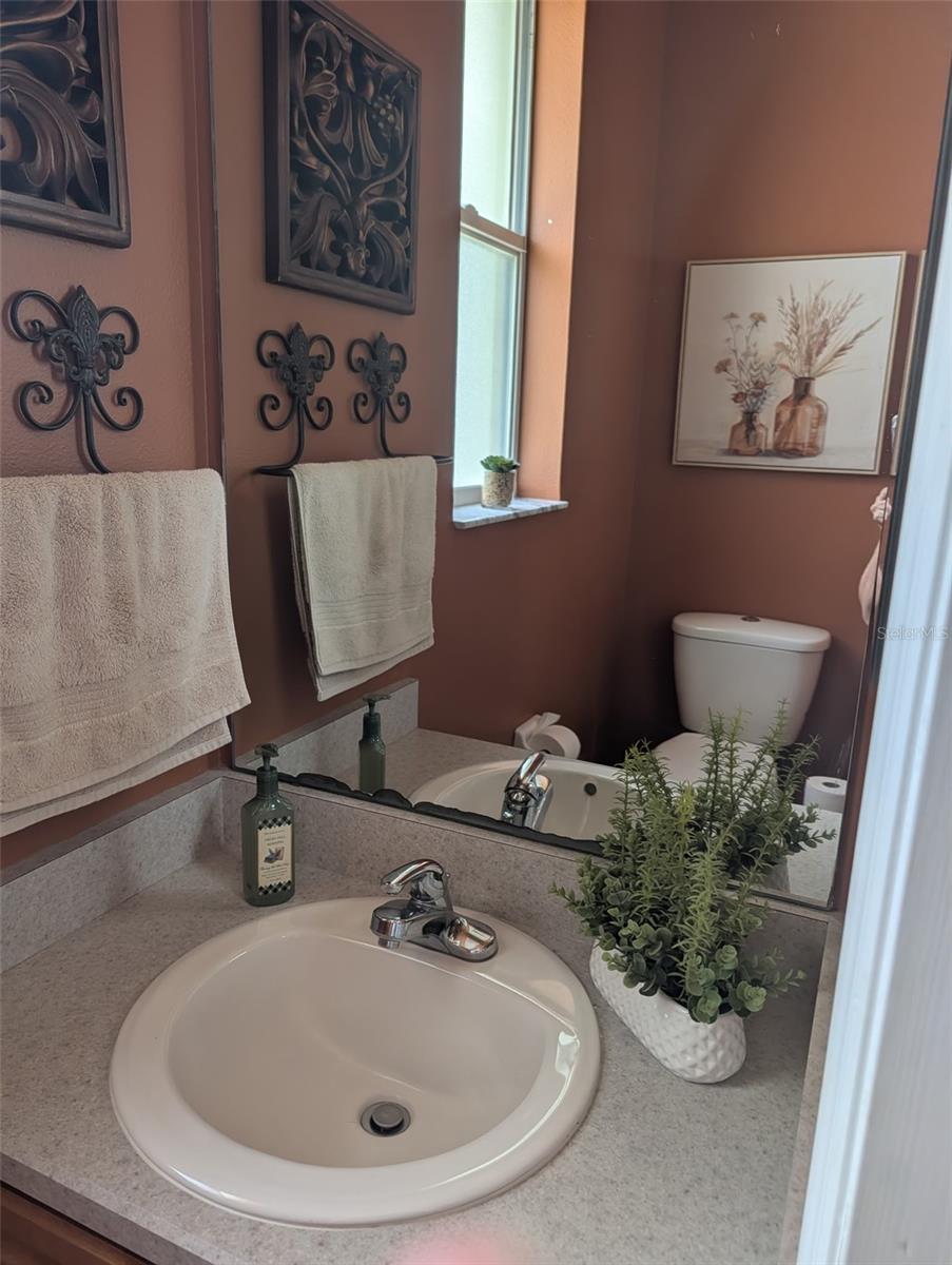 6028 ROLLING VISTA LOOP, DOVER, FL, 33527