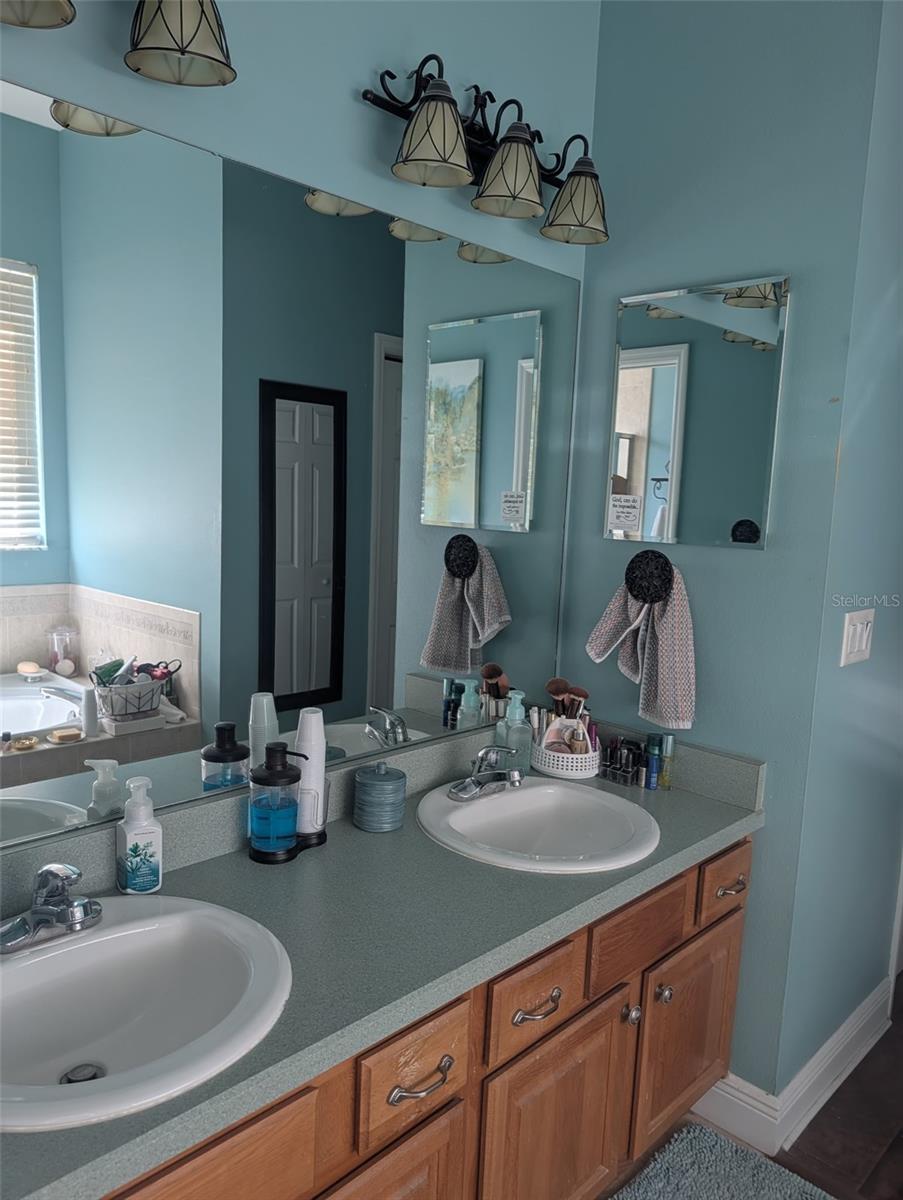 6028 ROLLING VISTA LOOP, DOVER, FL, 33527