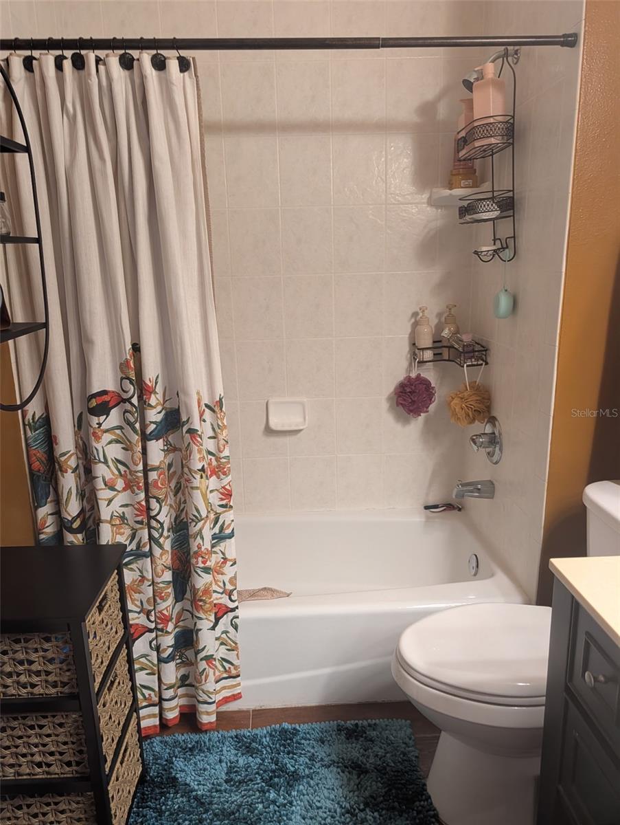 6028 ROLLING VISTA LOOP, DOVER, FL, 33527