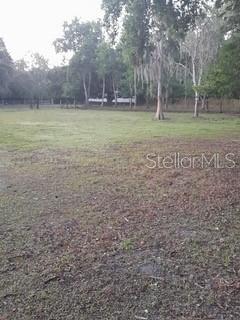 10034 BURTON ST, NEW PORT RICHEY, FL, 34654