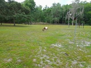 10034 BURTON ST, NEW PORT RICHEY, FL, 34654