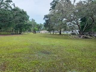 10034 BURTON ST, NEW PORT RICHEY, FL, 34654