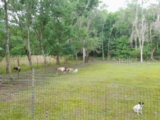 10034 BURTON ST, NEW PORT RICHEY, FL, 34654