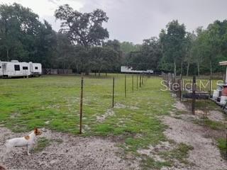 10034 BURTON ST, NEW PORT RICHEY, FL, 34654