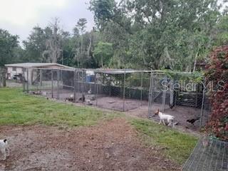 10034 BURTON ST, NEW PORT RICHEY, FL, 34654