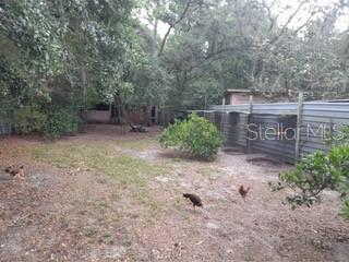 10034 BURTON ST, NEW PORT RICHEY, FL, 34654
