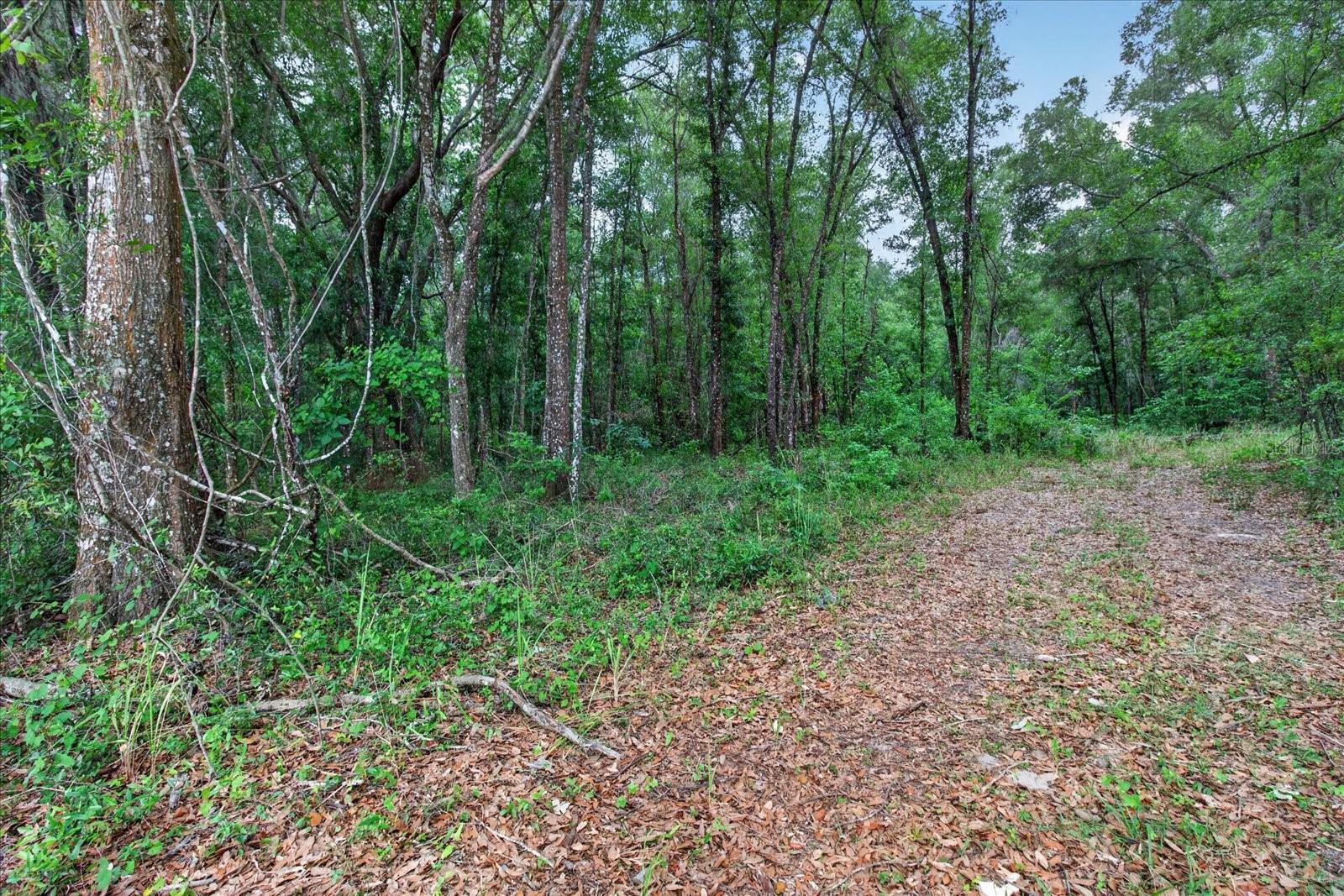 0 CORTEZ BLVD, BROOKSVILLE, FL, 34601