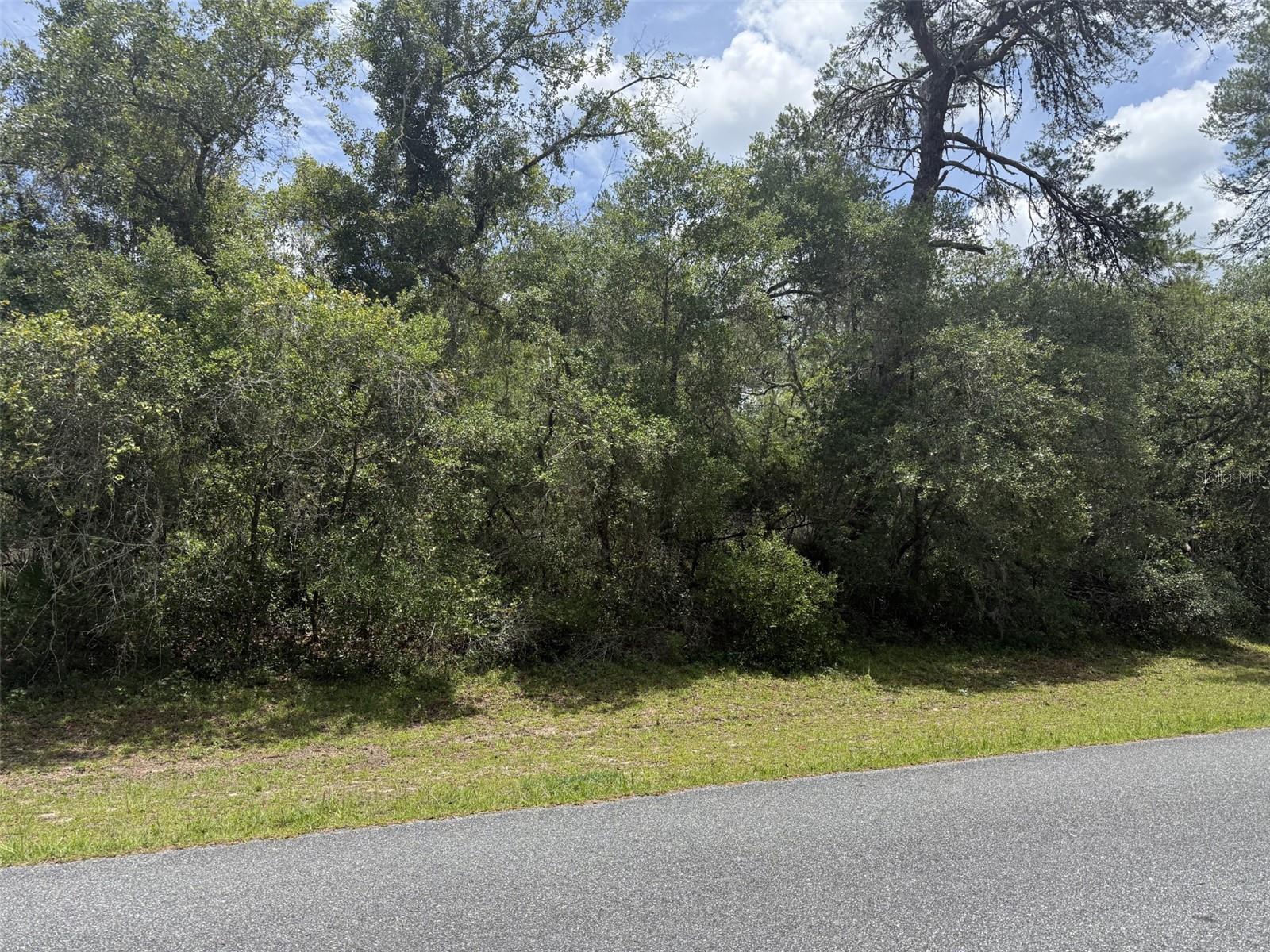 TBD SW 29TH TERRACE RD, OCALA, FL, 34473