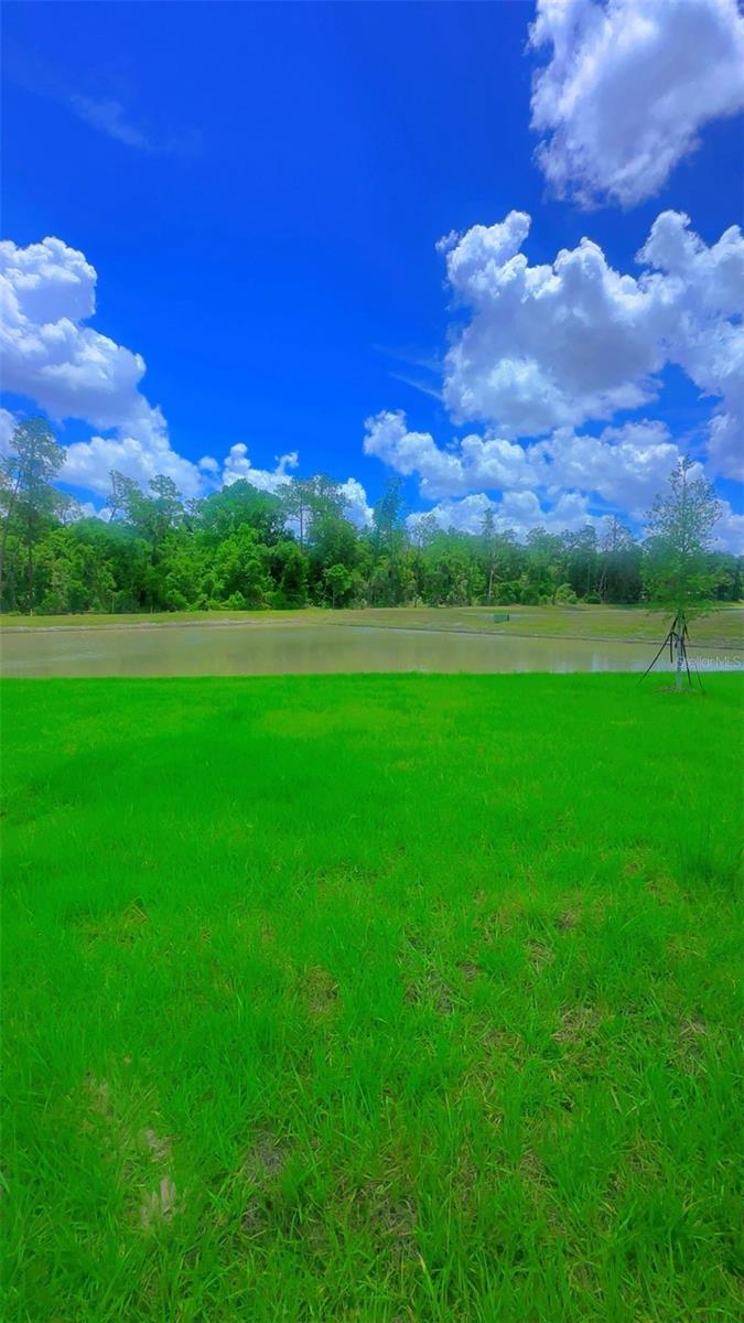 8451 MADRID ST, LAKELAND, FL, 33810