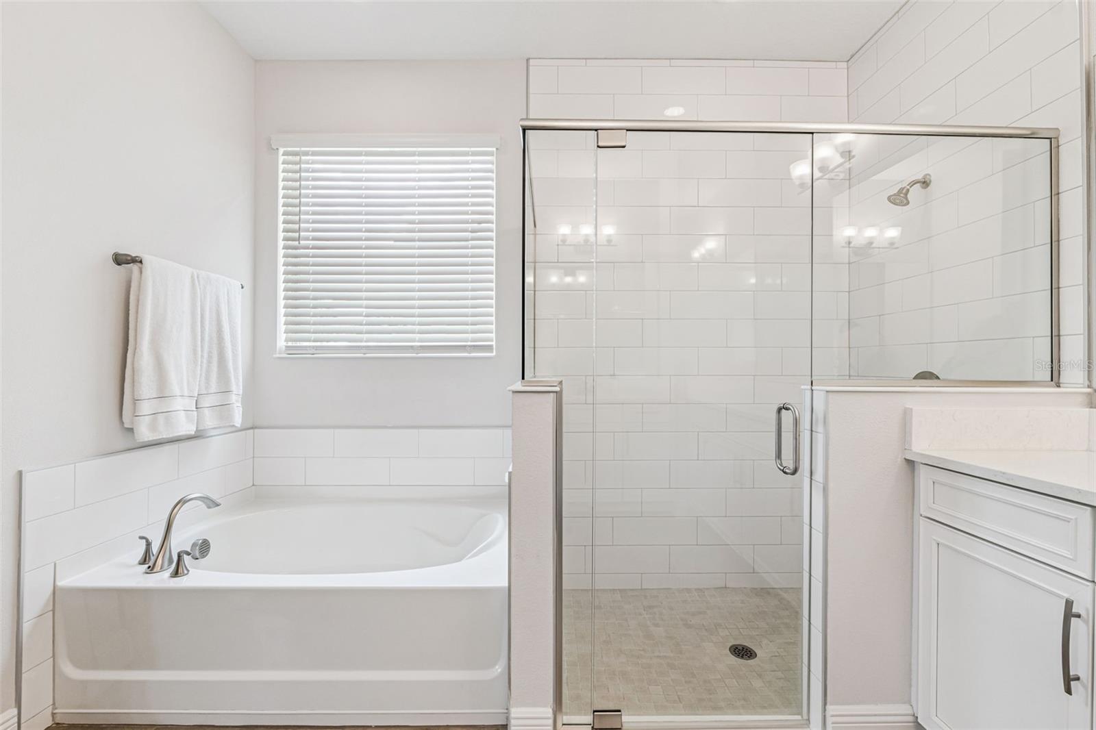 17798 ADRIFT RD, WINTER GARDEN, FL, 34787