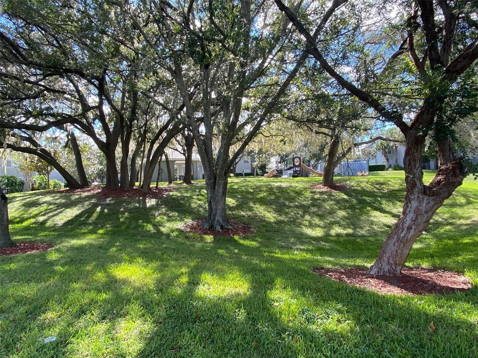 2612 GRASSY POINT DR #312, LAKE MARY, FL, 32746