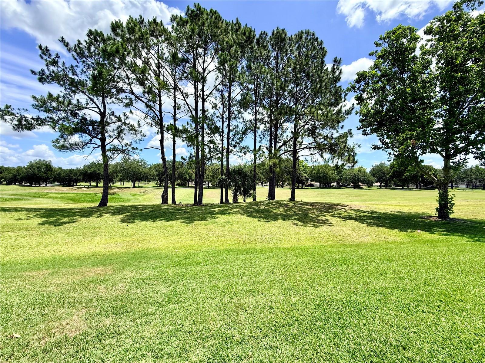 15597 SW 14TH AVENUE RD, OCALA, FL, 34473
