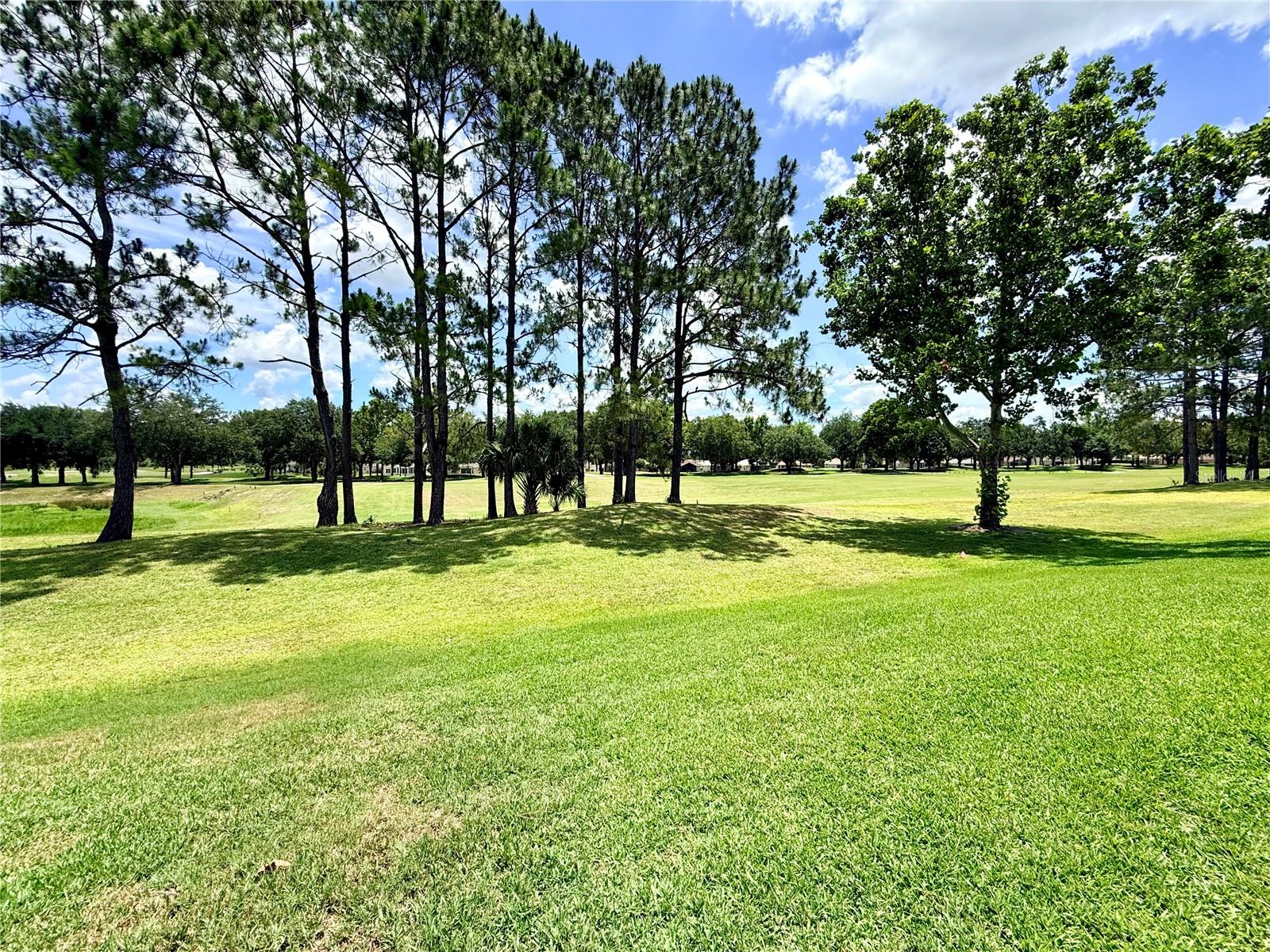 15597 SW 14TH AVENUE RD, OCALA, FL, 34473