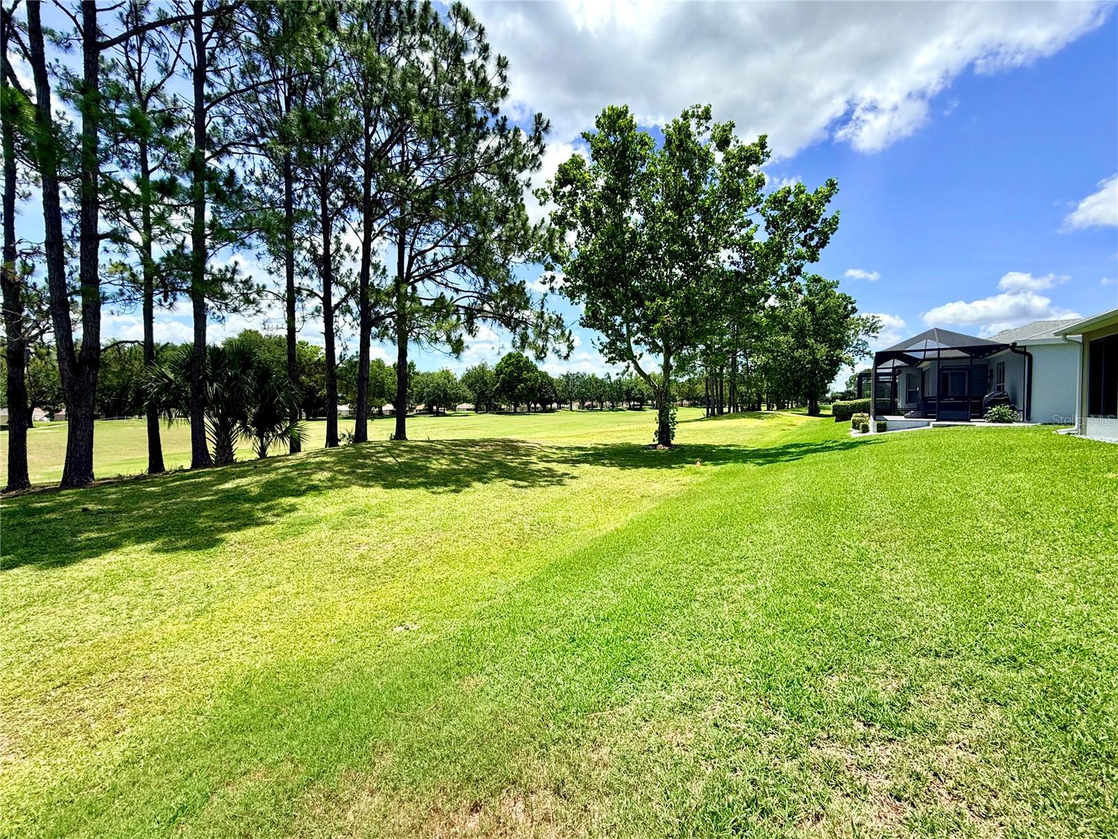15597 SW 14TH AVENUE RD, OCALA, FL, 34473