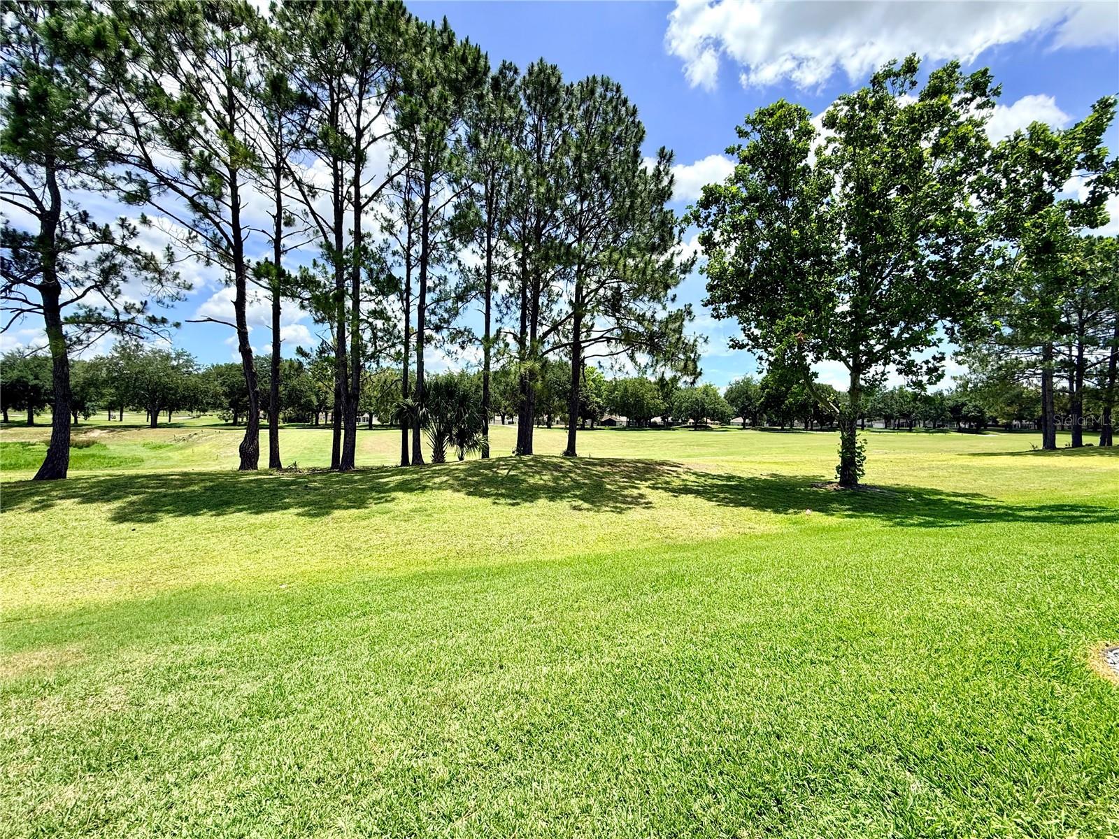 15597 SW 14TH AVENUE RD, OCALA, FL, 34473