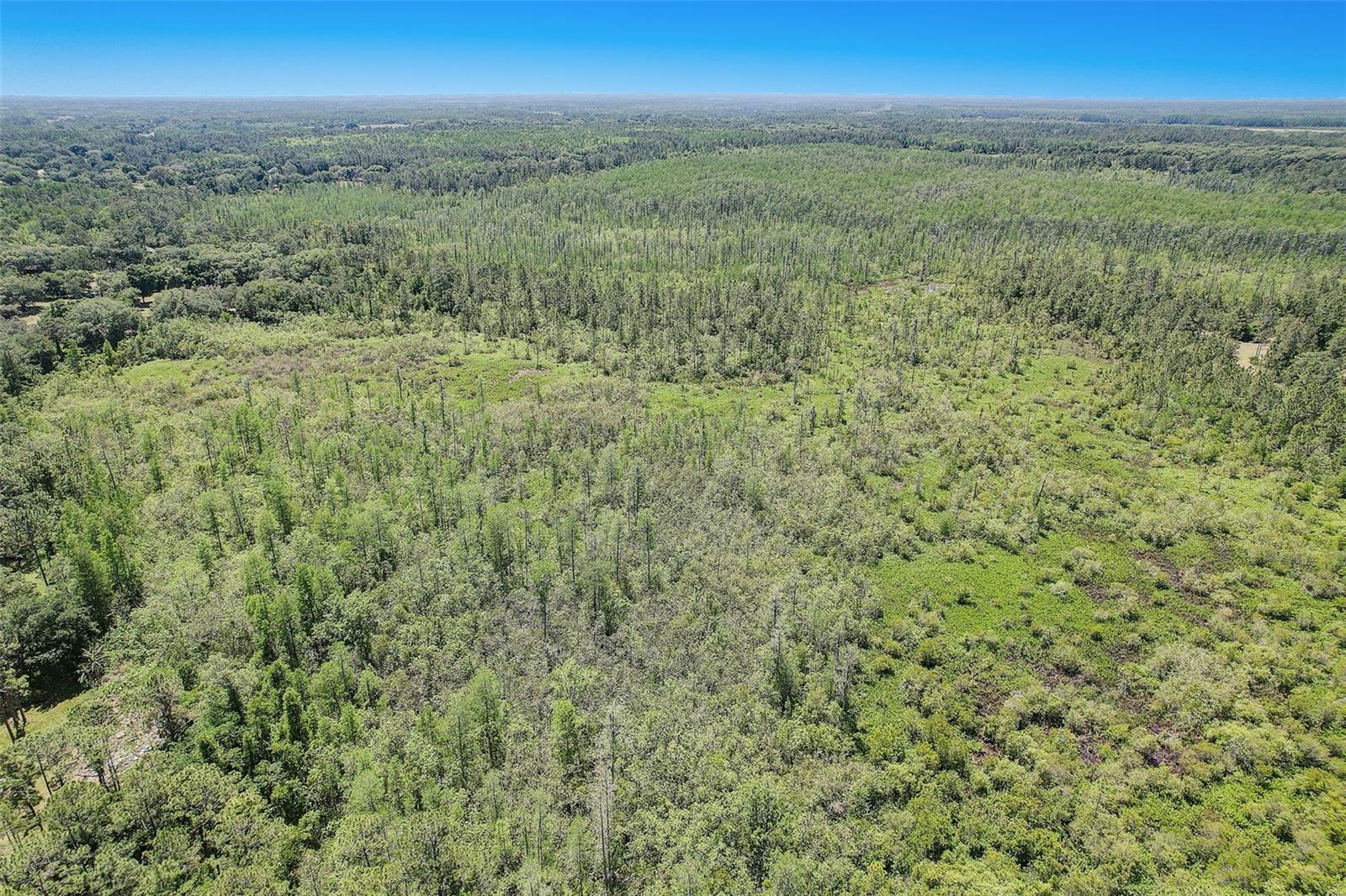 7119 STATE ROAD 33, CLERMONT, FL, 34714