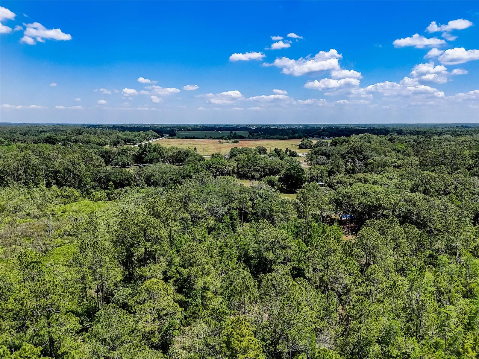7119 STATE ROAD 33, CLERMONT, FL, 34714