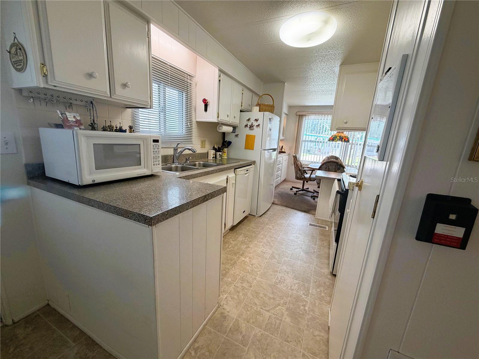 111 CHESTNUT ST, LEESBURG, FL, 34748