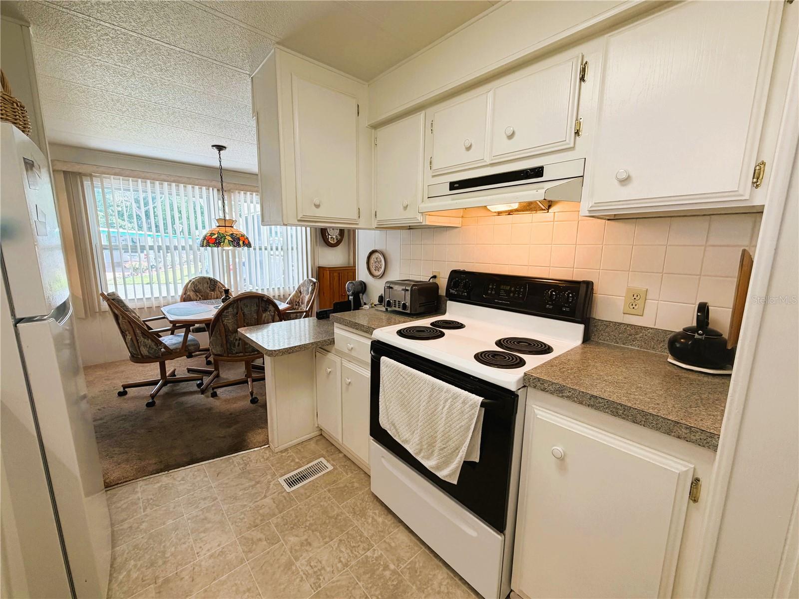 111 CHESTNUT ST, LEESBURG, FL, 34748