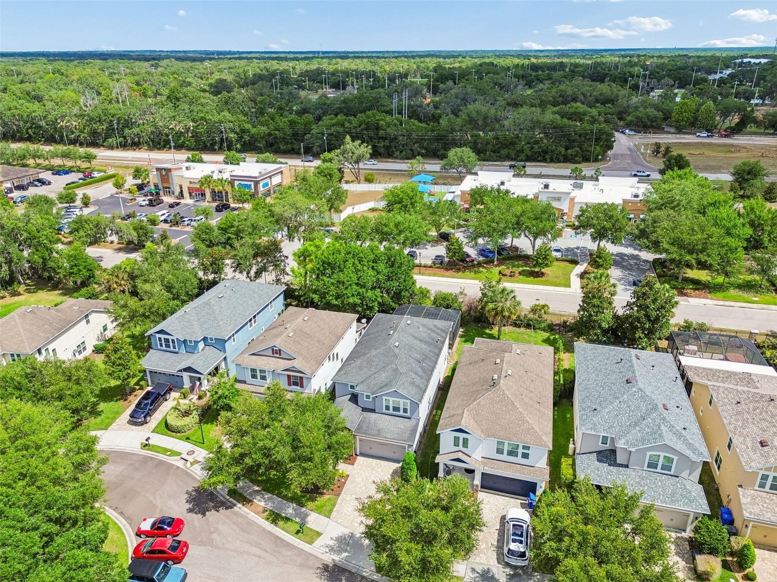 16214 BAYBERRY VIEW DR, LITHIA, FL, 33547