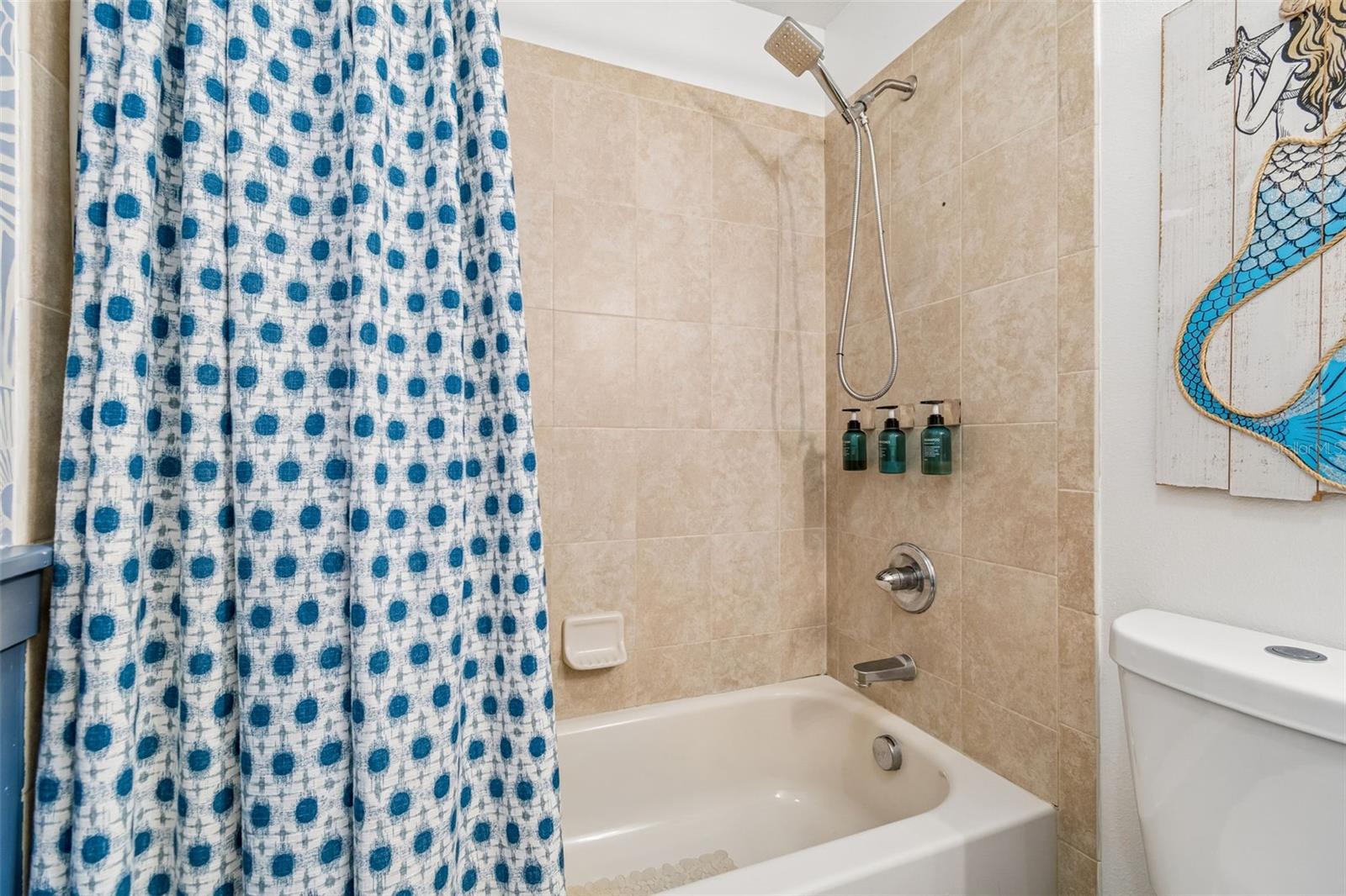 16214 BAYBERRY VIEW DR, LITHIA, FL, 33547