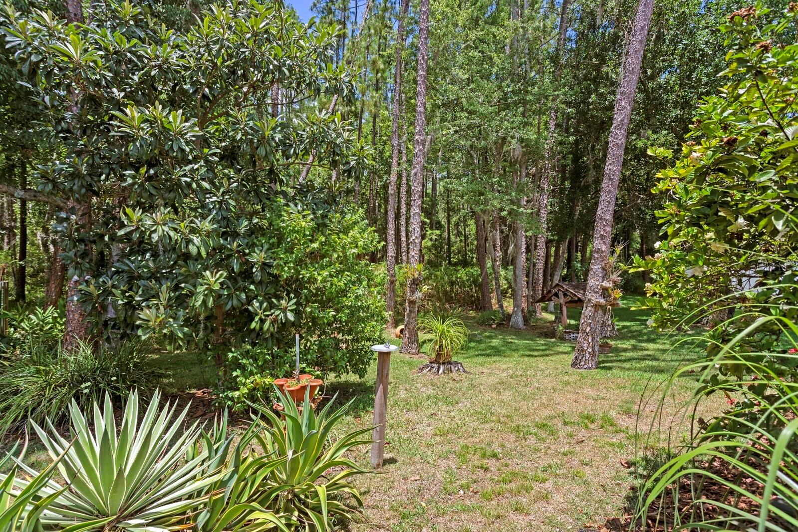 16037 SHINNECOCK DR, ODESSA, FL, 33556