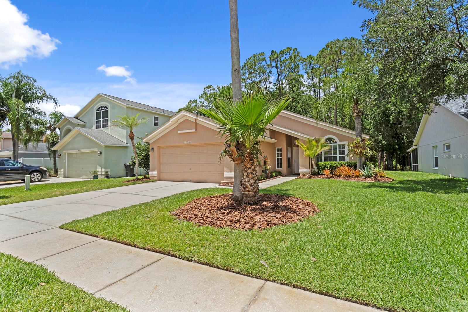 16037 SHINNECOCK DR, ODESSA, FL, 33556