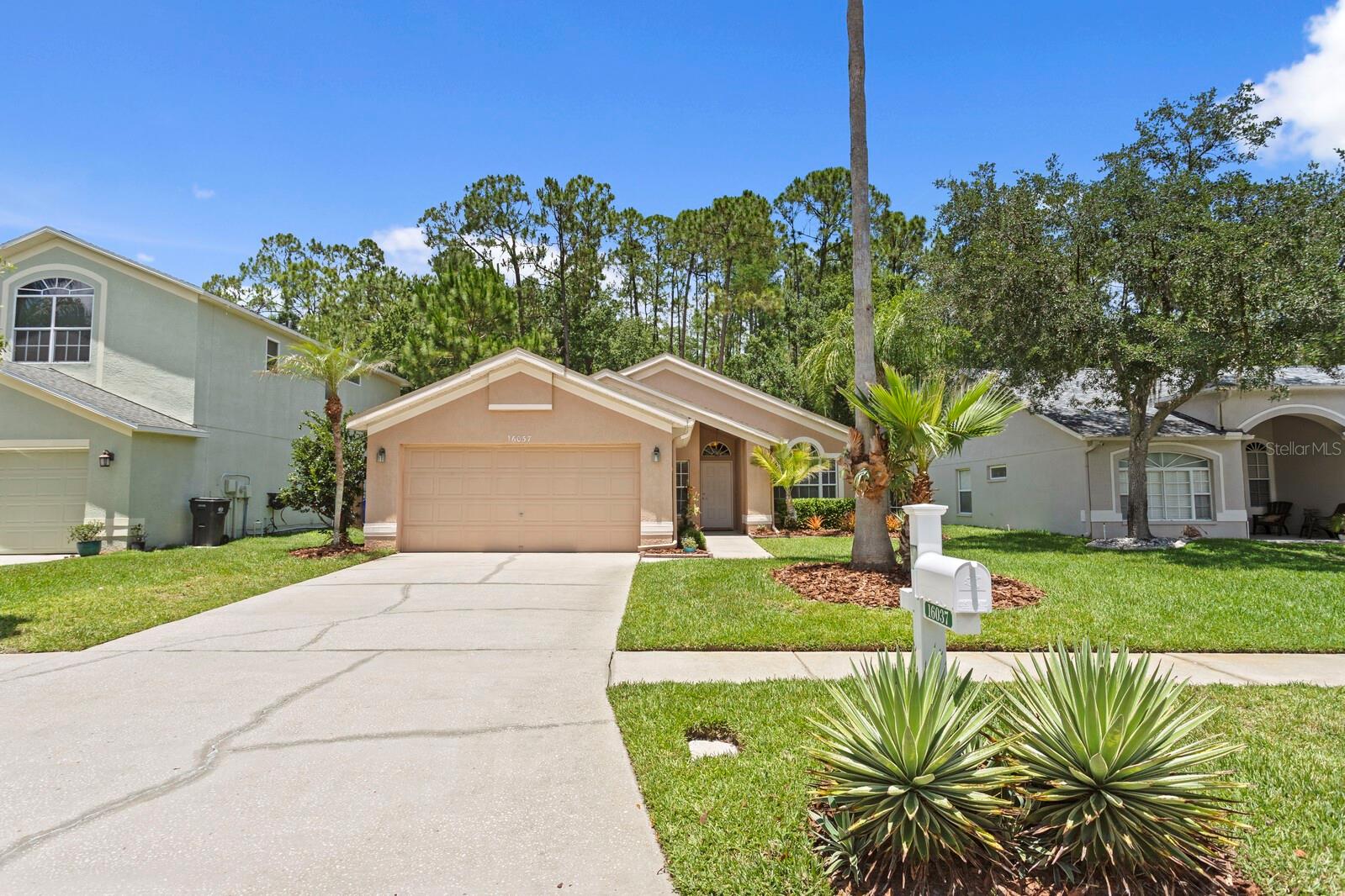 16037 SHINNECOCK DR, ODESSA, FL, 33556