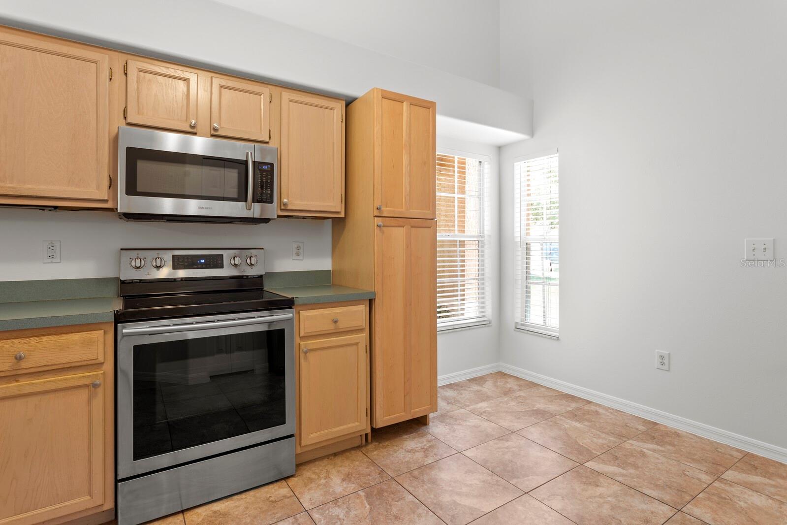 16037 SHINNECOCK DR, ODESSA, FL, 33556