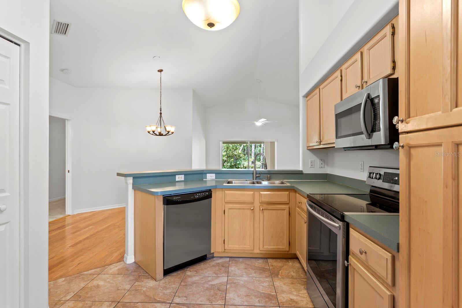 16037 SHINNECOCK DR, ODESSA, FL, 33556