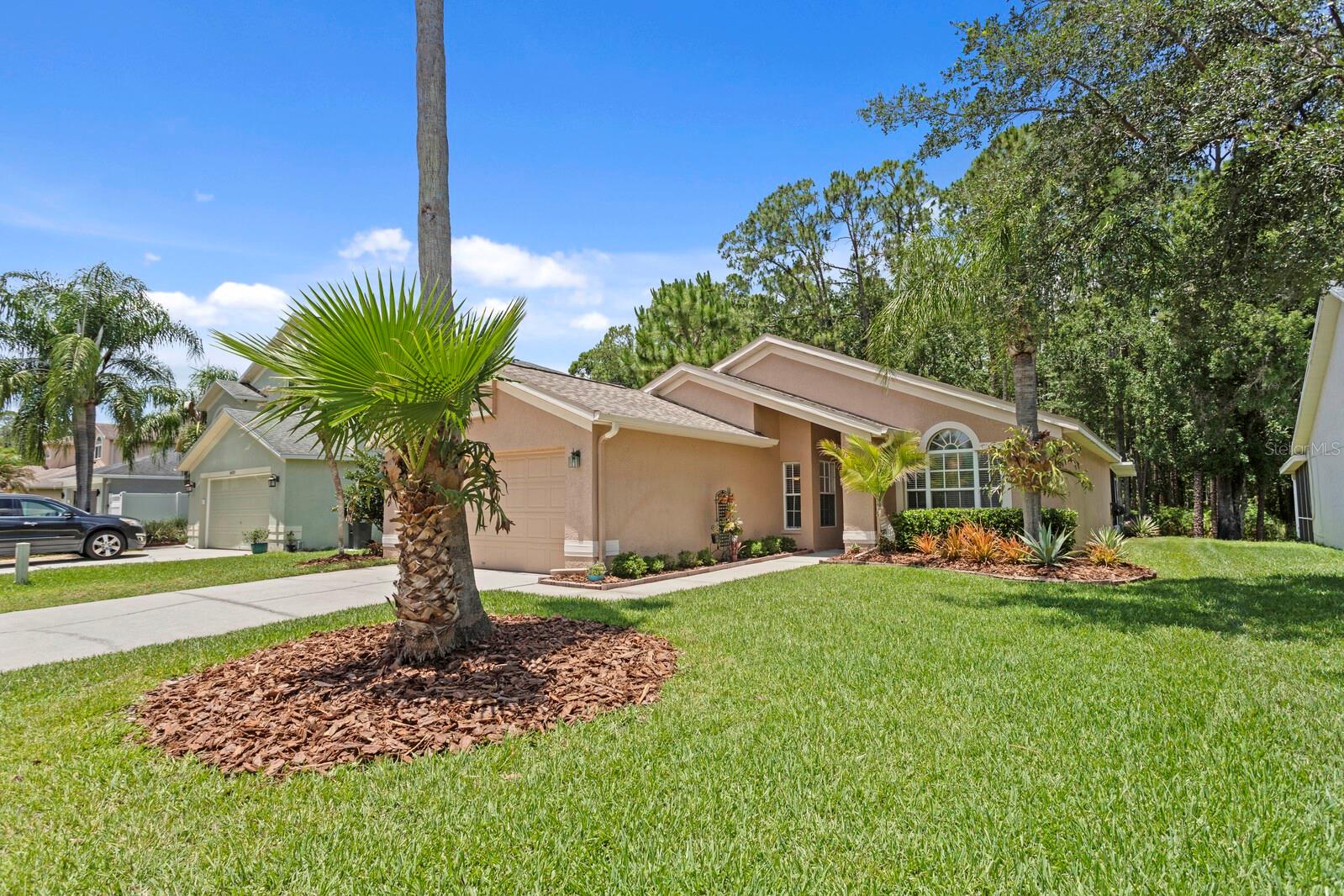 16037 SHINNECOCK DR, ODESSA, FL, 33556
