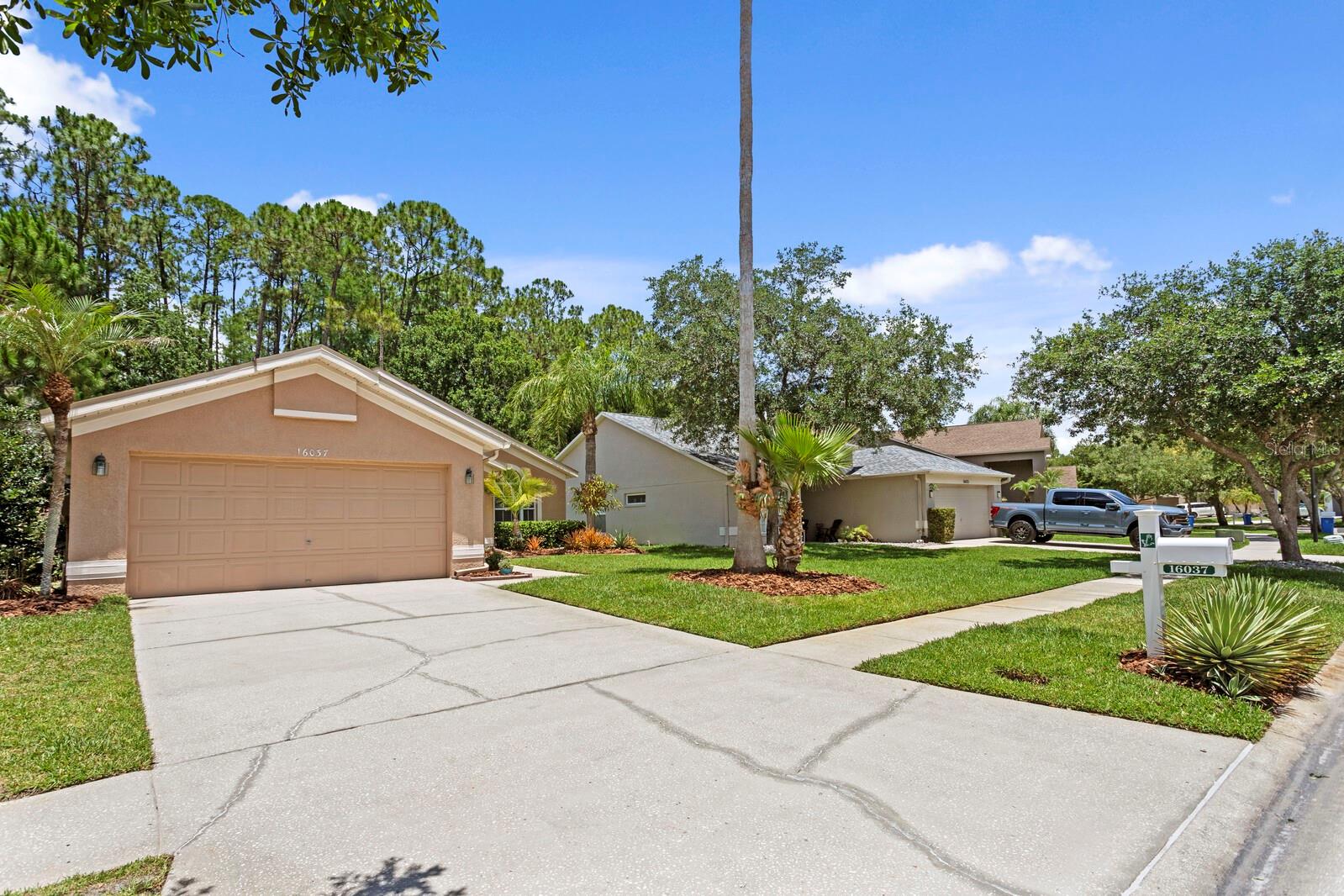 16037 SHINNECOCK DR, ODESSA, FL, 33556